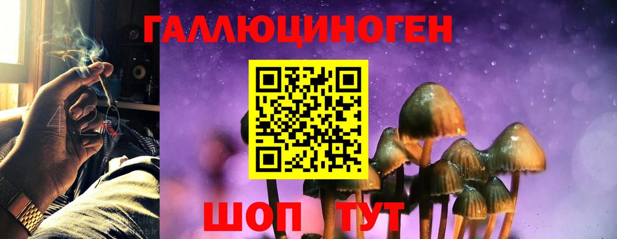 Галлюциногенные грибы Cubensis Тобольск